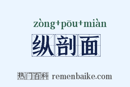 纵剖面是什么意思的图片
